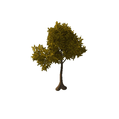 Tree Small 1 (Autumn) 2